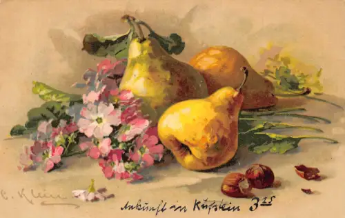 B099 Kunst Stillleben Früchte Birnen und Blumen von Catharina Klein Vintage Postkarte