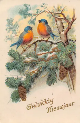 B101 Neujahrsgrüße 1931 Paar Schwalbenvögel auf verschneiten Kiefernzweigen Postkarte