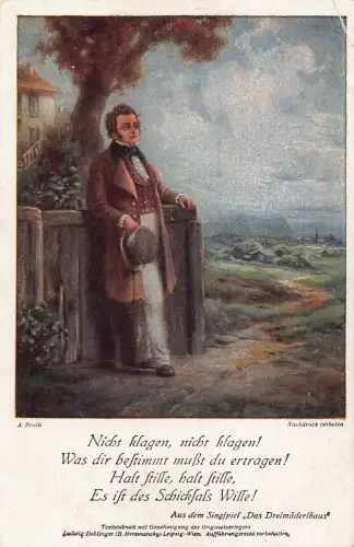 Komponist Franz Schubert Ruhegedicht Landschaftskunst signiert A Broch Postkarte