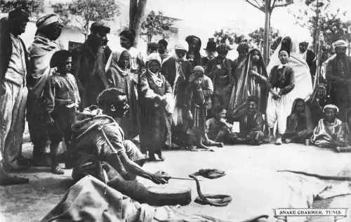 B556 Ethnische Ureinwohner Tunesien Tunis Schlangenbeschwörer Vintage Postkarte