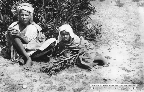 B556 Jemen Aden ethnische einheimische Hirtenjungen unter Oleander Vintage Postkarte