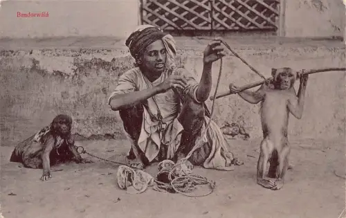L523 Indien Affenjunge Bandorwala gebürtig mit Affen Vintage Postkarte