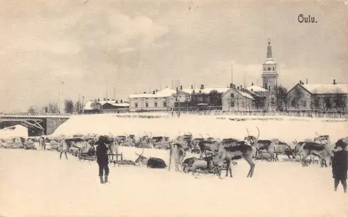 L542 Finnland Oulu Rentiere Schlitten Vintage Postkarte