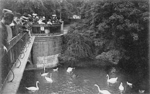B263 Deutschland 1910 Düsseldorf Goldene Brücke om Hofgarten Brücke Schwäne Postkarte