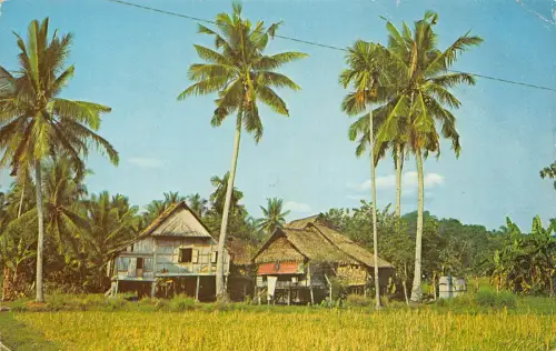 Malaysia Nalay Kampong Häuser Penang Vintage Postkarte