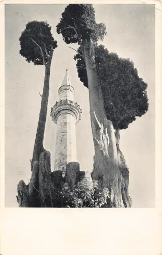 Türkei Minarett und Zypressen Istanbul Vintage Postkarte