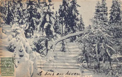 A036 Russland Unbekannte Waldbäume im Schnee Vintage Postkarte