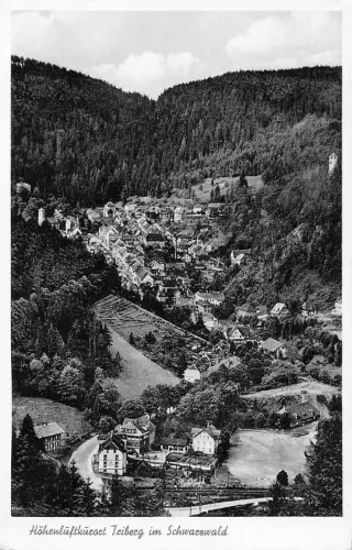 B208 Deutschland Höhenluftkurort Triberg im Schwarzwald Vintage Postkarte