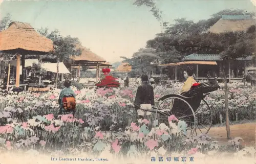 B585 Japan Iris Garden at Horikiri Tokyo Geisha in Rikscha Postkarte