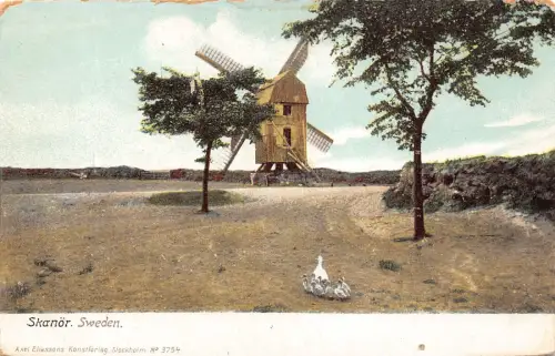 Schweden Skanor Windmühle Gänsefamilie Vintage Postkarte