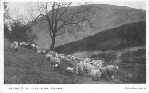 B005 Schottland 1907 Eingang zum Glen Rosa Brodick Sheep Vintage Postkarte