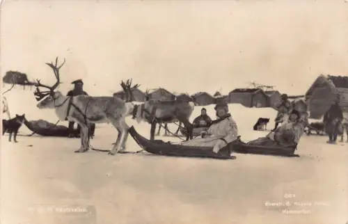 Norwegen Rentierschlitten auf dem Weg nach Kautokeino Echtfoto Feld Postkarte