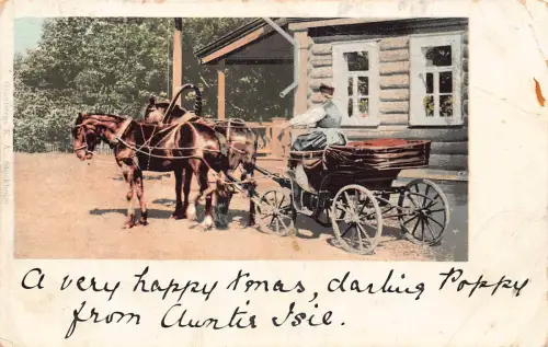 A995 Russland 1899 Typische Kutsche Ureinwohner Mann vor Haus Vintage Postkarte