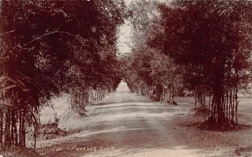 A997 Indien Jabalpur Avenue RPPC Vintage Postkarte