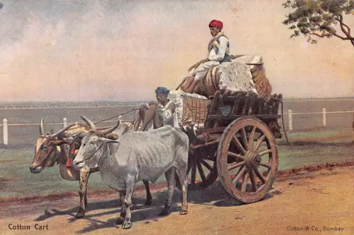 A993 Indien Baumwolle Ochsenwagen einheimische Bauern ethnische Art Postkarte