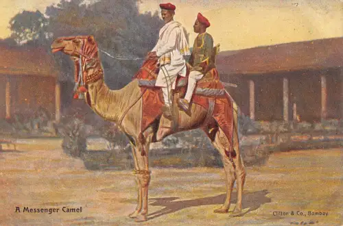 A993 Indien Bote Kamel Ureinwohner Postboten ethnischer Typ Postkarte