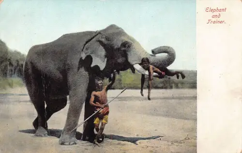 A993 Indien Elefant und Trainer Ureinwohner Speerjunge auf Hörnern Akrobatik Postkarte