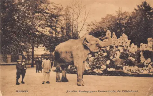 A044 Belgien 1913 Anvers Elefantenpromenade Zoologischer Garten Vintage Postkarte