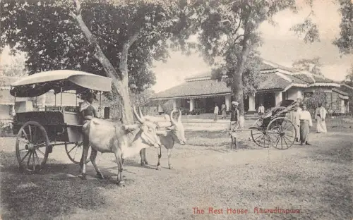 L526 Sri Lanka Ceylon Anuradhapura Ochsenkarre Rikscha Vintage Postkarte