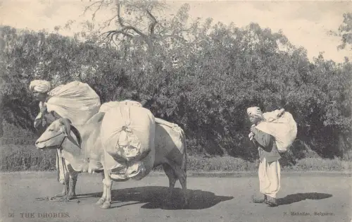 A993 Indien Die Dhobies Einheimische Waschmänner Fürsorge Stofftaschen Bullock Postkarte