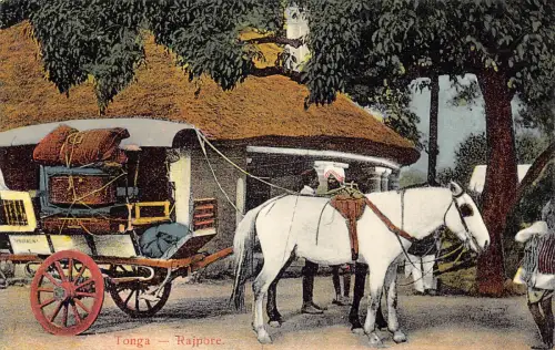 A993 Indien Tonga Rajpore Rajpur Dokey Cart Vintage Postkarte