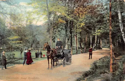 Schweden Stockholm Kungl Djurgarden Kutsche Garten Vintage Postkarte