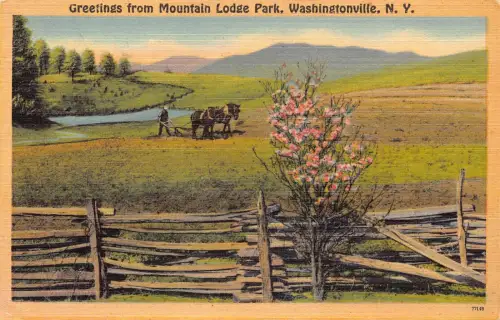 A856 US Grüße aus Mountain Lodge Park Washingtonville NY Vintage Postkarte