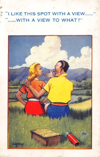 A860 Comic Humor Paar beim Picknick Ich mag diesen Ort mit Aussicht Vintage Postkarte