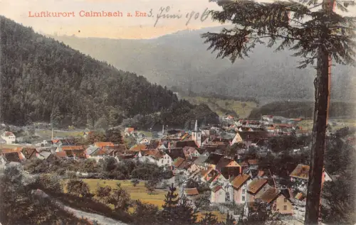 A232 Deutschland 1906 Luftkurort Calmbach a Enz Gesamtansicht Vintage Postkarte