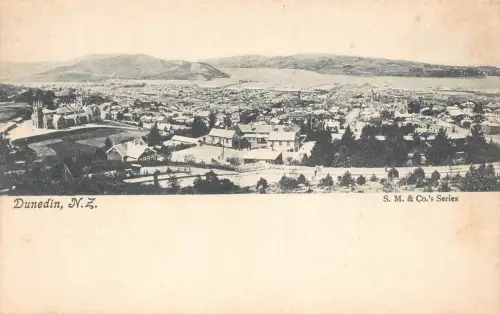 B597 Neuseeland Dunedin Gesamtansicht Vintage Postkarte