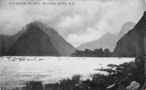 B597 Neuseeland Milford Sound Vintage Postkarte