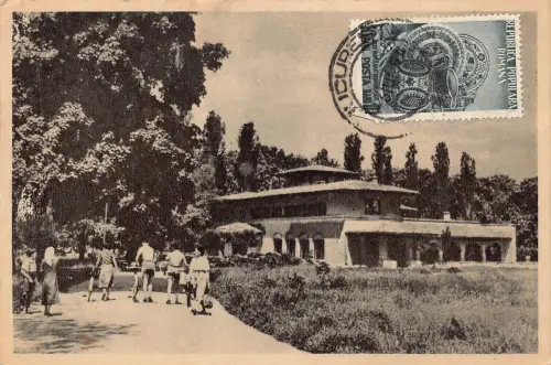 L314 Rumänien 1954 Bucuresti Gradina Botanica Vintage Postkarte