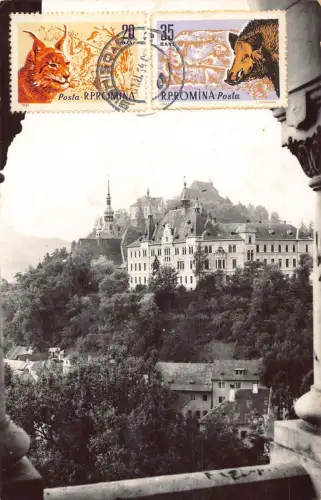 L314 Rumänien 1964 Sighisoara Echtfoto Vintage Postkarte