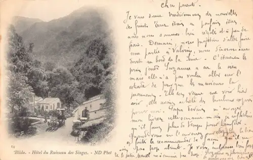 Algerien 1901 Blida Hotel du Ruisseau des Singes Vintage Postkarte B911