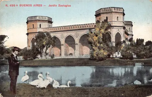 A865 Argentinien Buenos Aires Jardin Zoologico Zoo Garten Schwäne Vintage Postkarte
