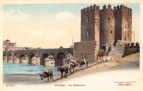 A868 Spanien Cordoba La Calahorra Esel Vintage Postkarte