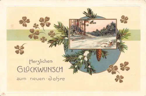 B152 Neujahrsgrüße 1908 Kleeblätter Zapfen Schneelandschaft Prägepostkarte