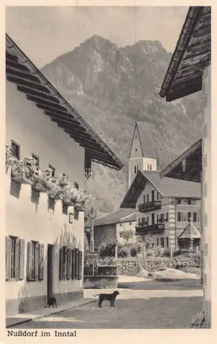 B138 Deutschland Nußdorf im Inntal Hund Vintage Postkarte