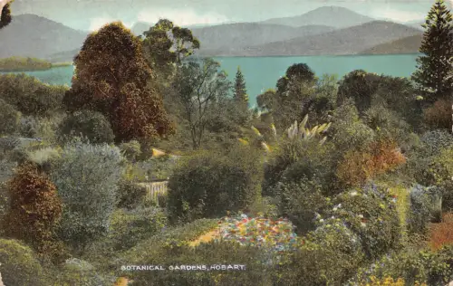 B161 Australien Botanischer Garten Hobart Vintage Postkarte