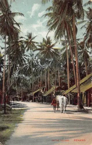 B156 Malaysia 1908 Penang Native Village Vintage Postkarte