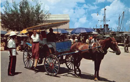 B159 Bahamas Nassau Bunte Kutschen Vintage Postkarte