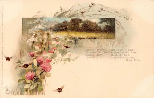 B163 Natur Passepartout Gedicht Sonnenuntergang Distel Bienen Vintage Postkarte