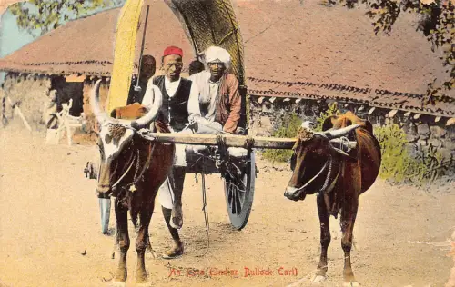 B613 Indien 1913 Ein Ecca Indianer Ochsenwagen Ureinwohner Ethnische Postkarte