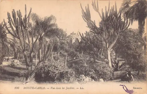 A872 Monaco Monte Carlo Vue dans les Jardins Gärten Kaktus Postkarte