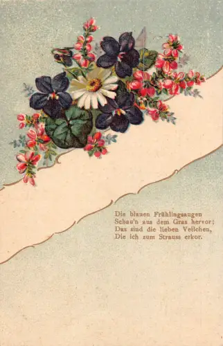 Frühlingsgrüße Gänseblümchen Veilchen und rosa Blumen geprägte Postkarte
