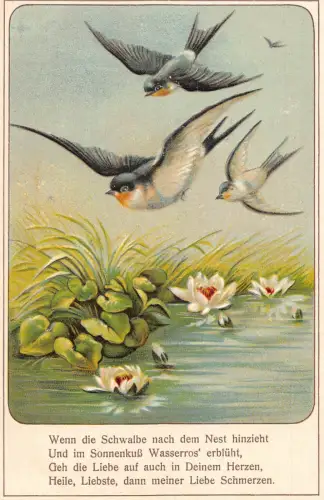 Frühlingslandschaft Schwalbe Vögel fliegen Lotusblumensee geprägte Postkarte