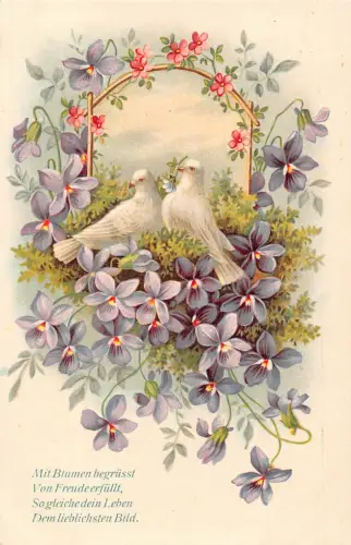 Romantisches Gedicht Paar Taubenvögel Veilchen geprägte Postkarte