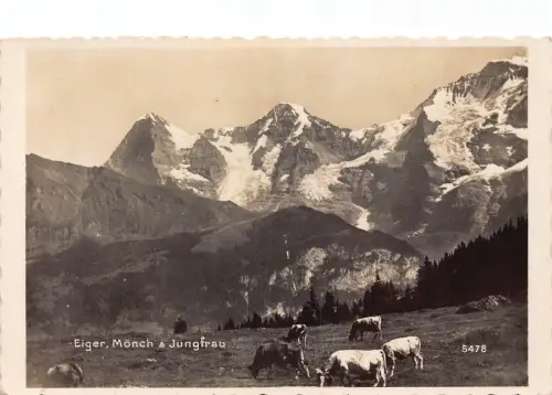 C008 Schweiz, Eiger, Mönch, Jungfrau (1947) alte Postkarte