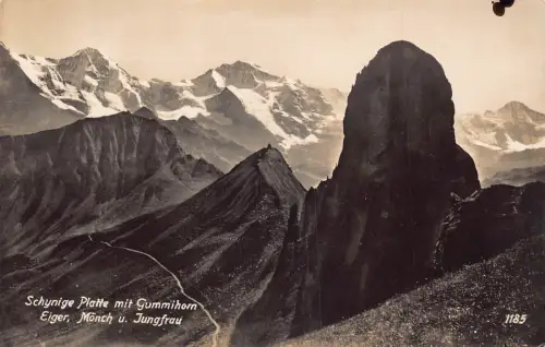 C008 Schweiz, Eiger, Mönch u. Jungfrau, Schynige Platte Vintage Postkarte