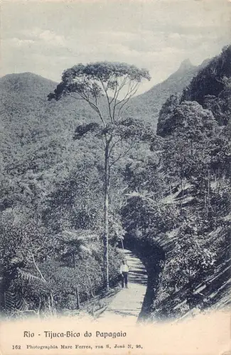 A877 Brasilien Rio Tijuca Bico do Papagaio Vintage Postkarte